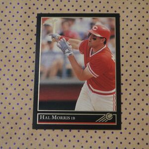 Hal Morris #205 Baseball Card